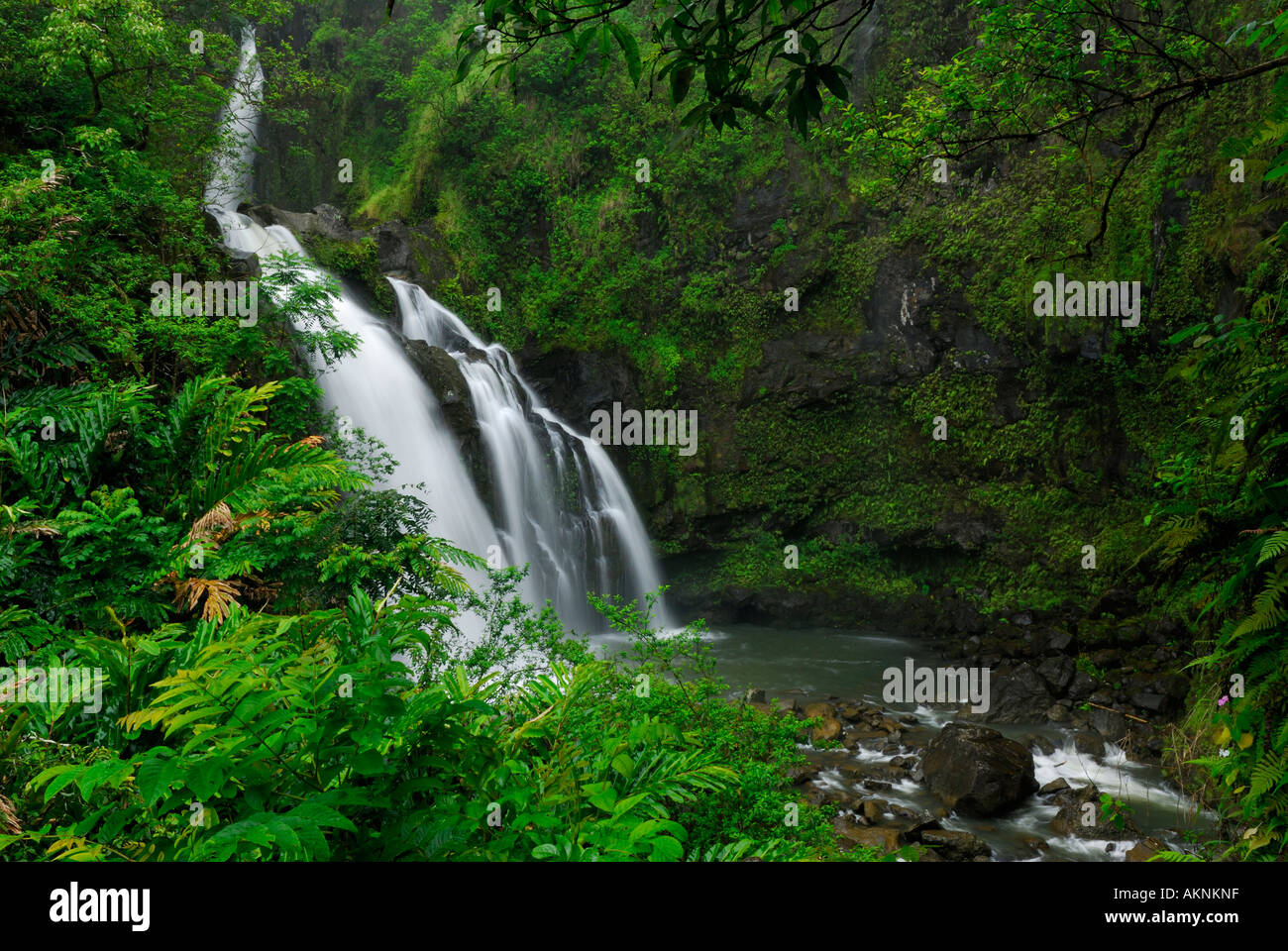 Wasser fällt in nebligen Regen entlang der Straße nach Hana Insel Maui Hawaii Stockfoto Wasser fällt in nebligen Regen entlang der Straße nach Hana Insel Maui Hawaii Stockfoto