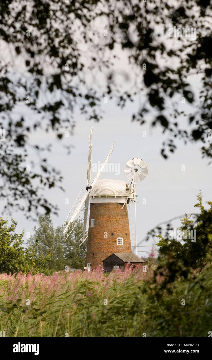 Horsey Wind Pumpe Norfolk Stockfoto