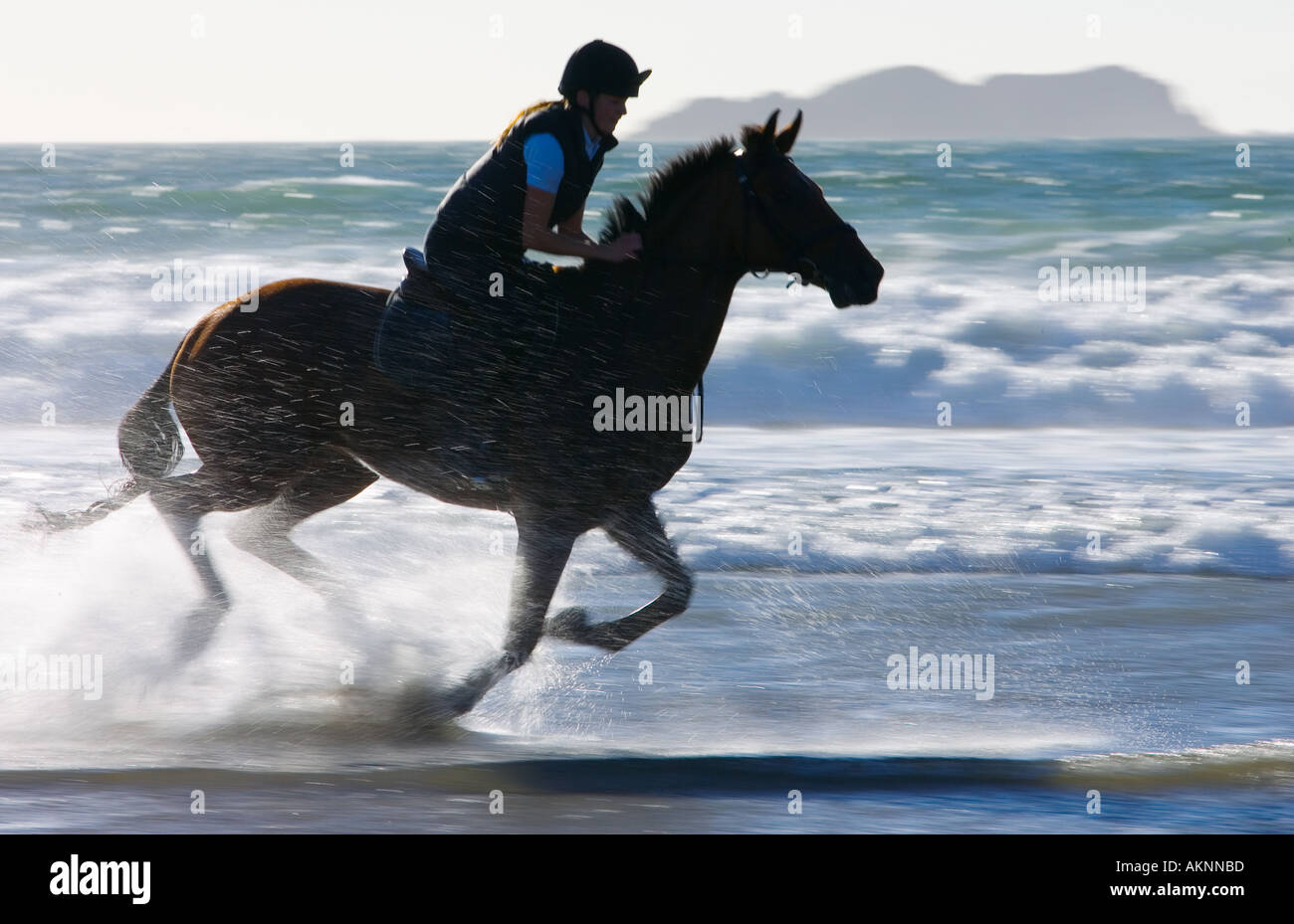 Junge Frau reitet auf einem Pferd Bucht auf breiten Haven Beach Pembrokeshire Wales Großbritannien Stockfoto