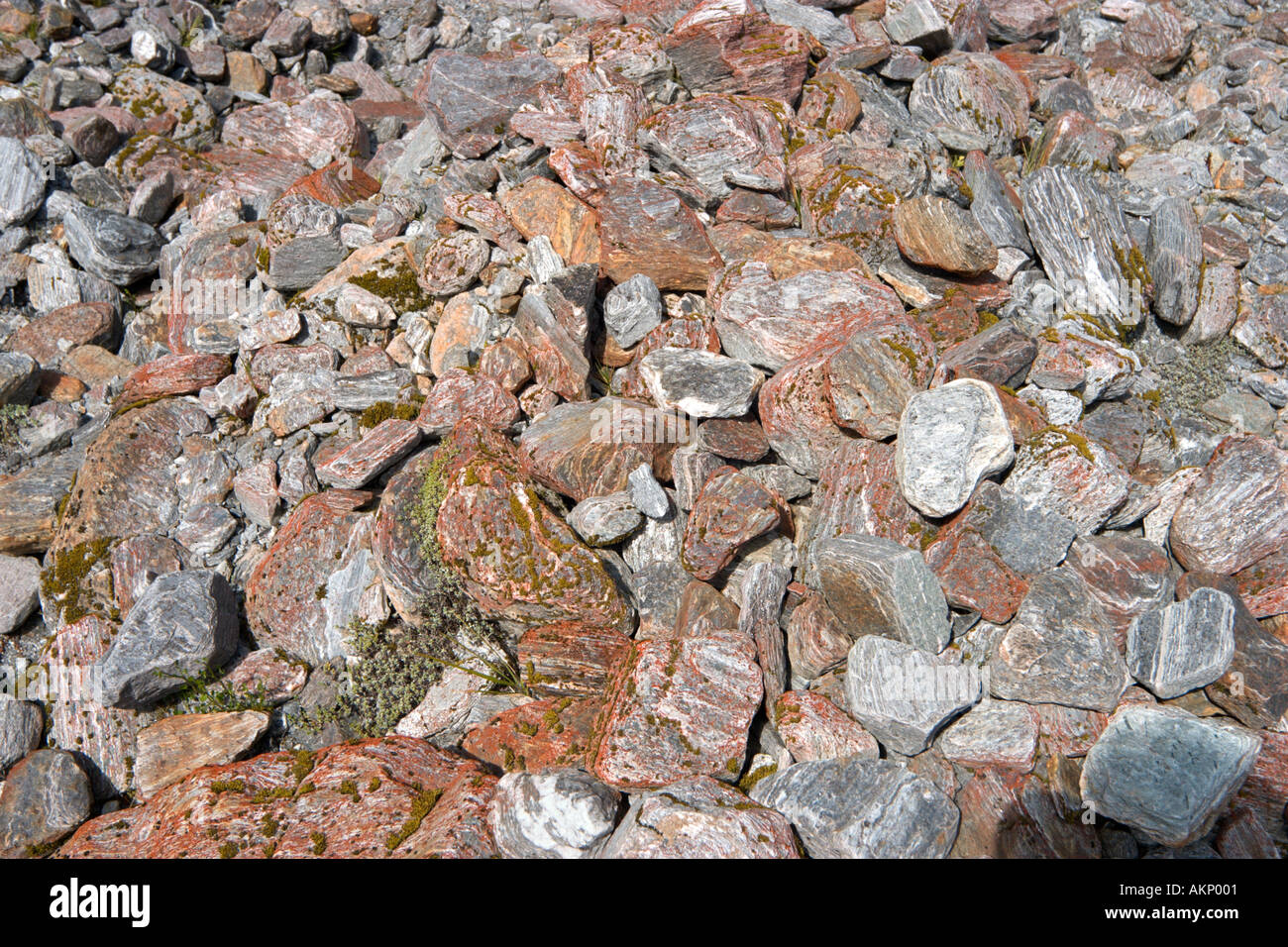 Nahaufnahme von vielfarbigen Felsen am Fox-Gletscher, Südinsel, Neuseeland Stockfoto