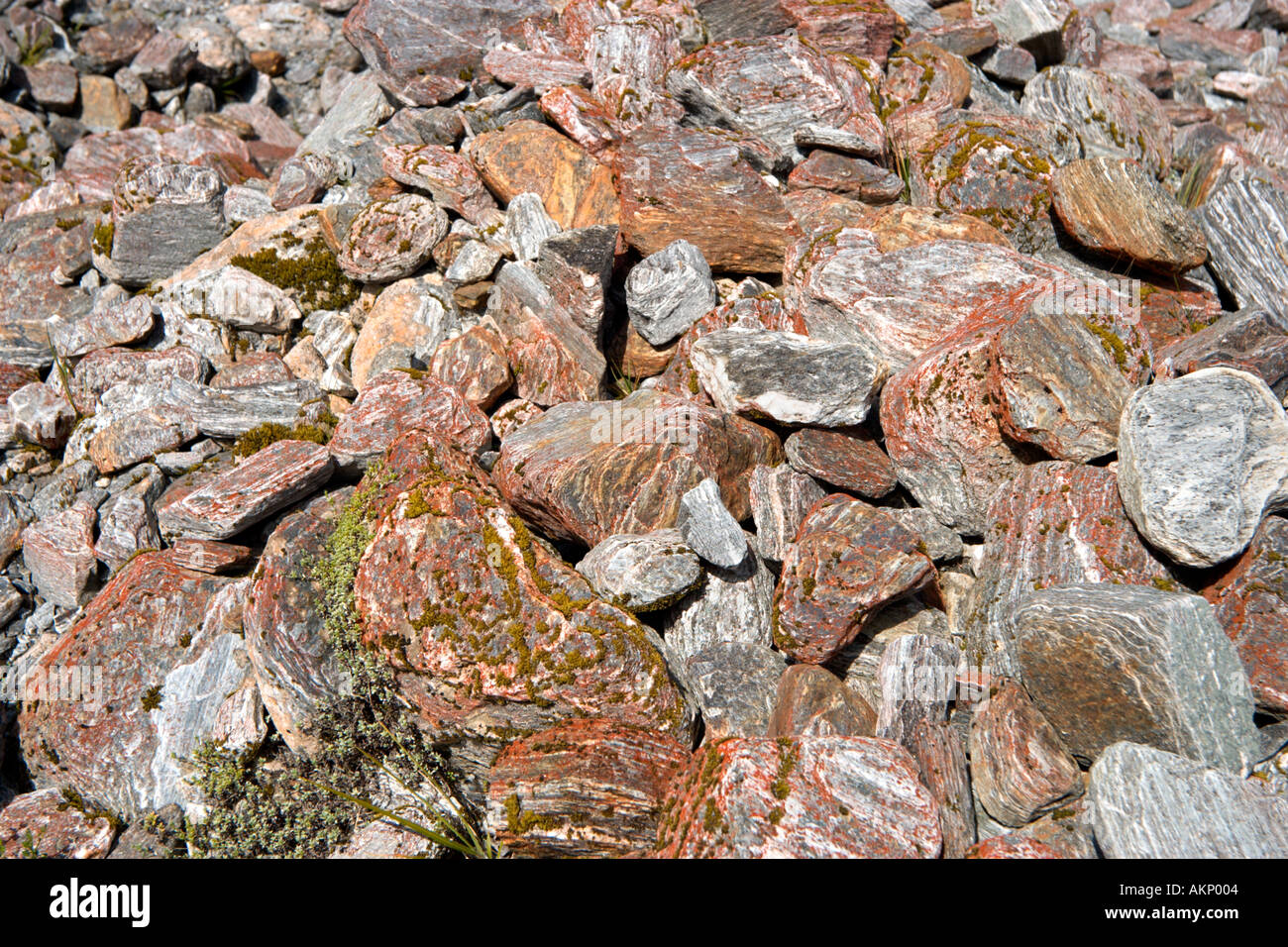 Nahaufnahme von vielfarbigen Felsen am Fox-Gletscher, Südinsel, Neuseeland Stockfoto