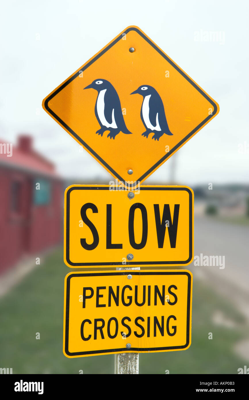 Zeichen für Pinguine überqueren in Oamaru, Südinsel, Neuseeland Stockfoto