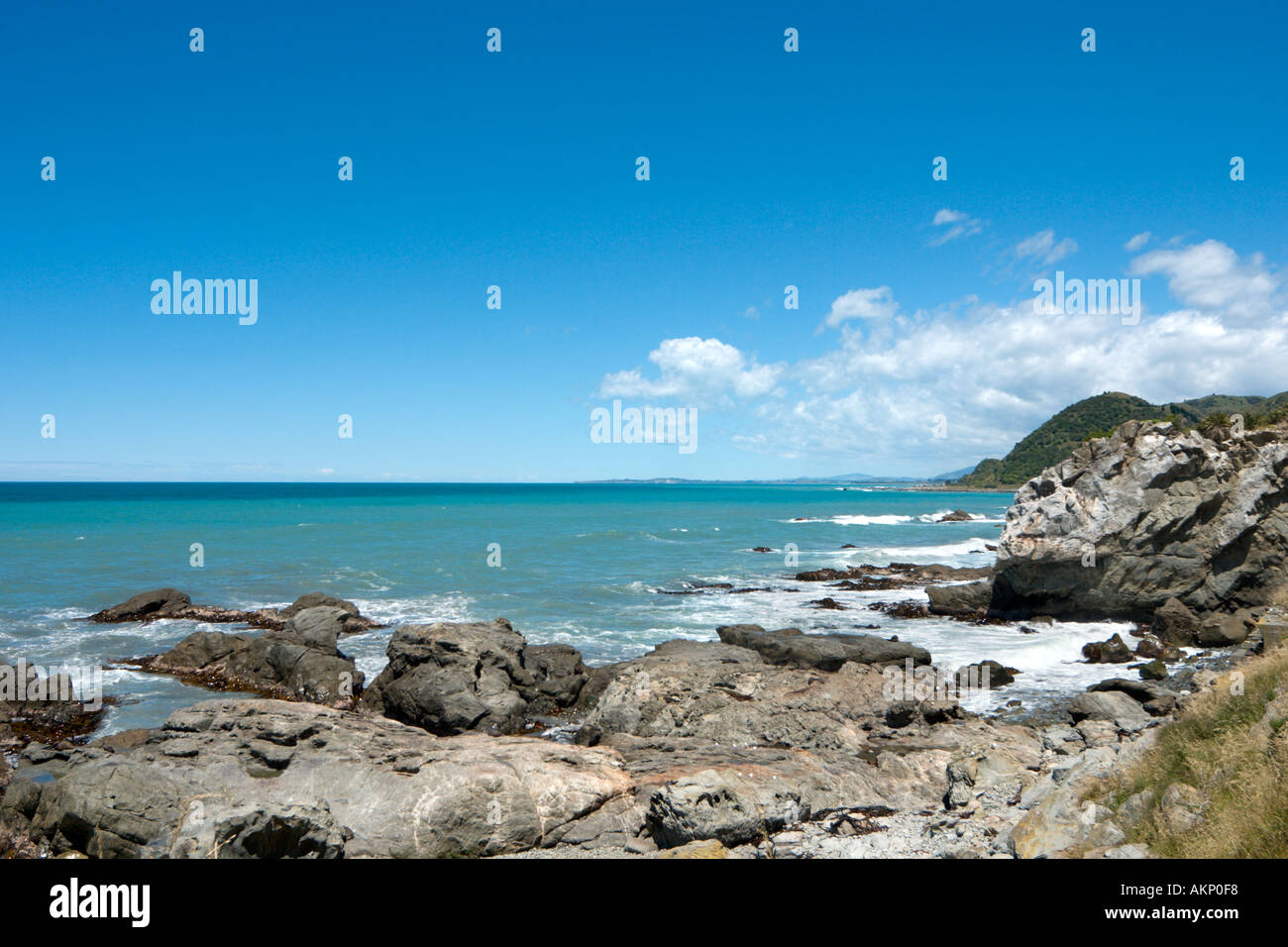 Ohau Point an der Küste ab Autobahn SH1, nördlich von Kaikoura, Südinsel, Neuseeland Stockfoto