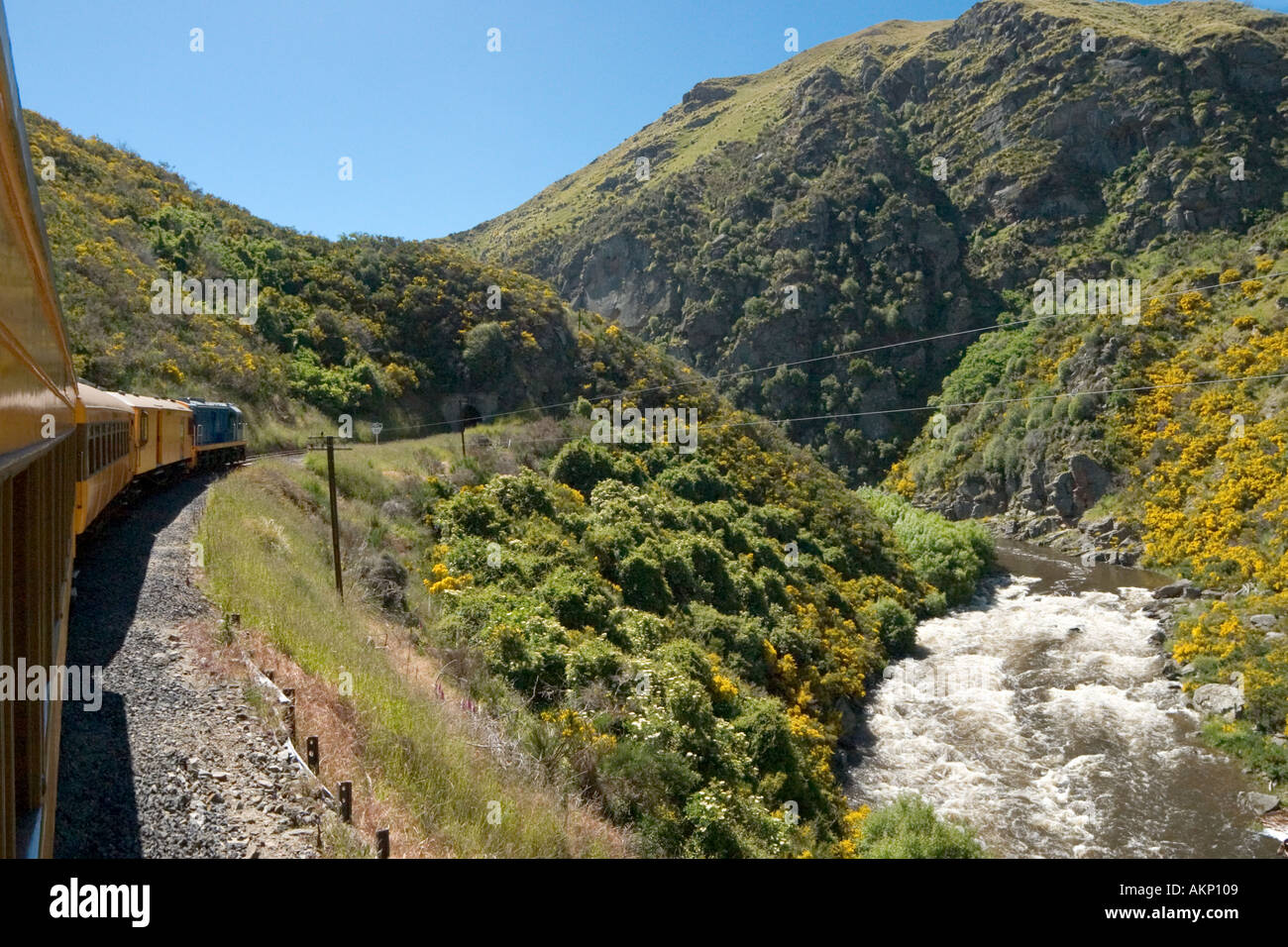 Blick vom Zug auf die Taieri Gorge Railway von Dunedin, Otago, Südinsel, Neuseeland Stockfoto