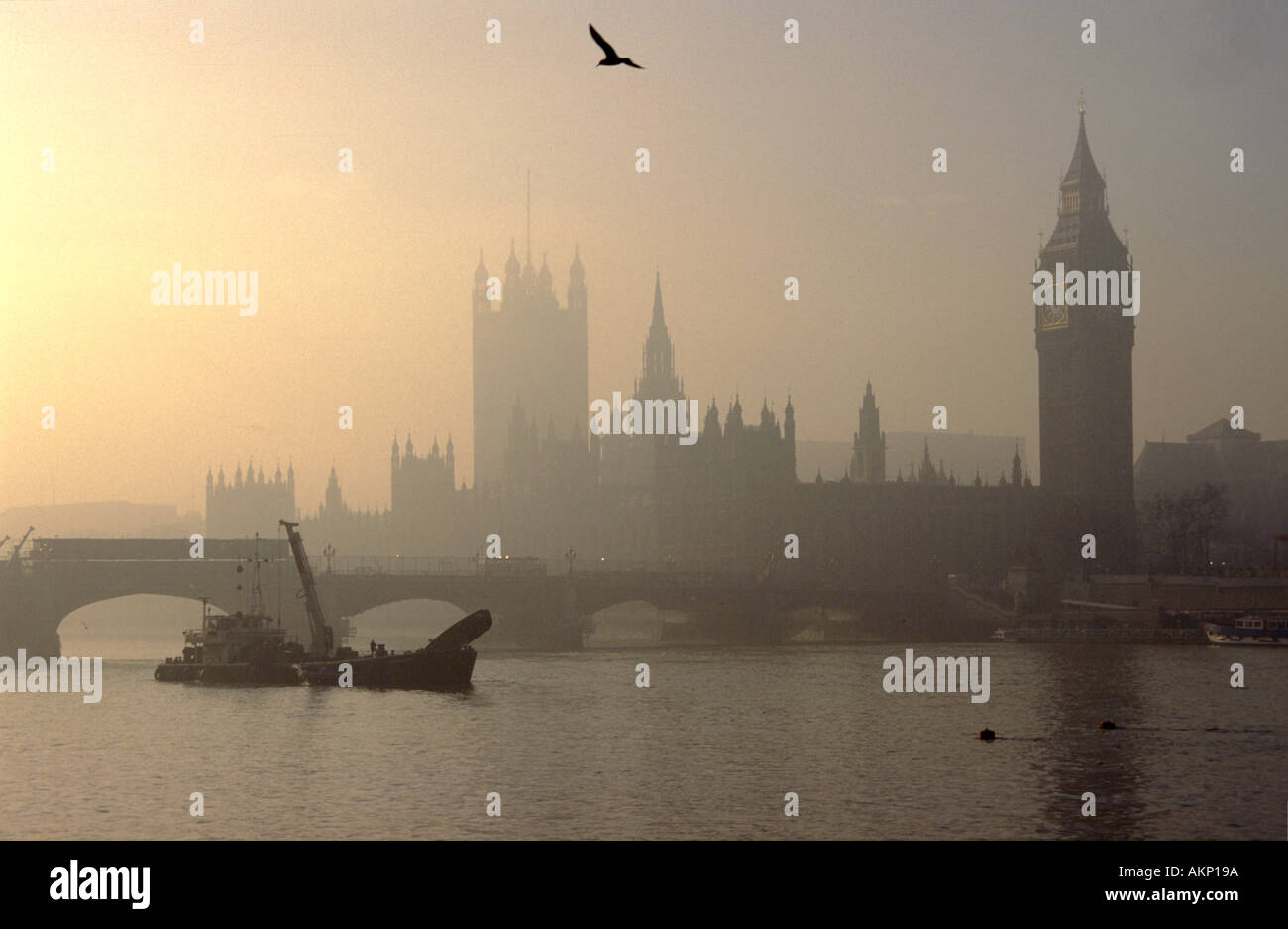 Nebel in London Houses of Parliament, die Westminster Bridge, Möwe im Flug über die Themse, Fluss Schwimmbagger und Tugboat im Vordergrund, Großbritannien Stockfoto