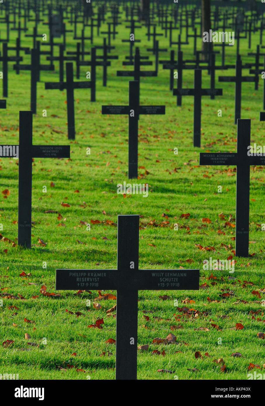 Masse des deutschen Krieges Gräber, Weltkrieg Friedhof, Frankreich Stockfoto