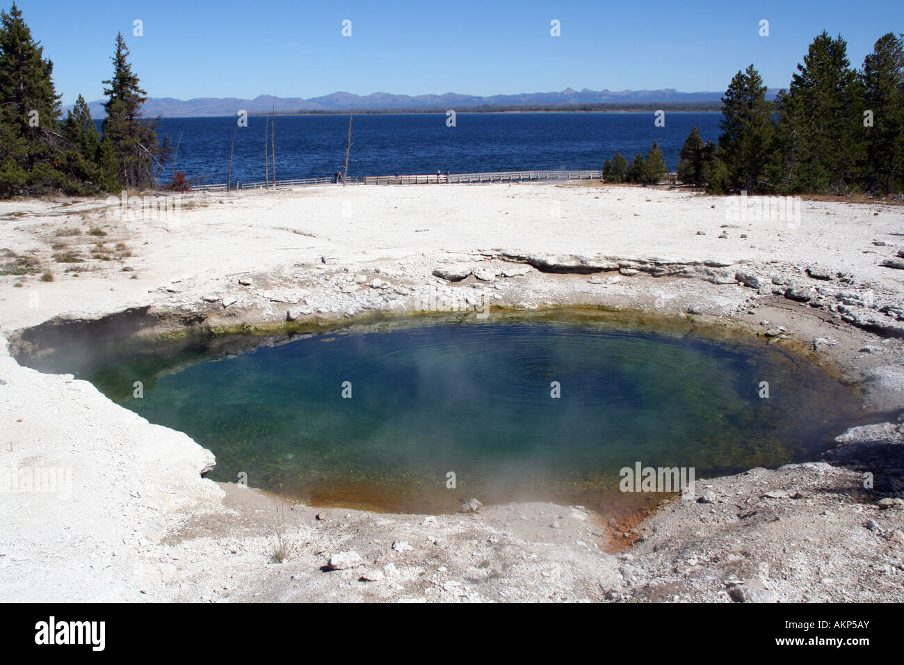 Wogende Frühling, West Thumb Geyser Basin, Yellowstone-Nationalpark Stockfoto