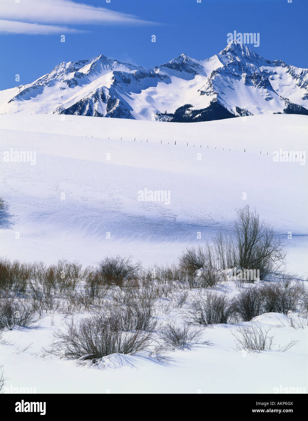 Mt Wilson, San Juan, Winter, Rocky Mountains, Colorado, USA, durch Willard Clay/Dembinsky Foto Assoc Stockfoto