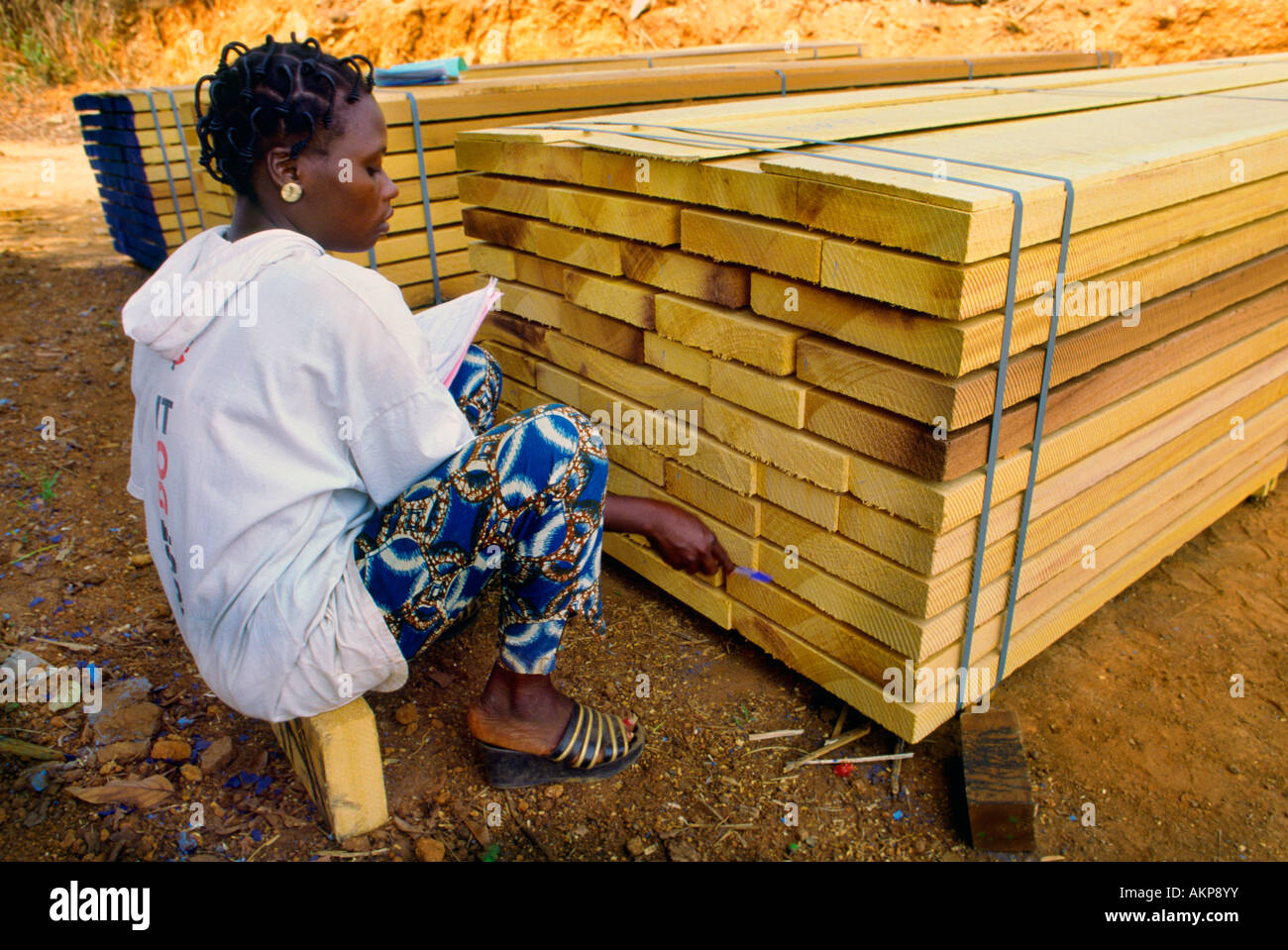 Eine Frau deckt sich Bretter versandfertig in einem Sägewerk in Côte d ' Ivoire Stockfoto