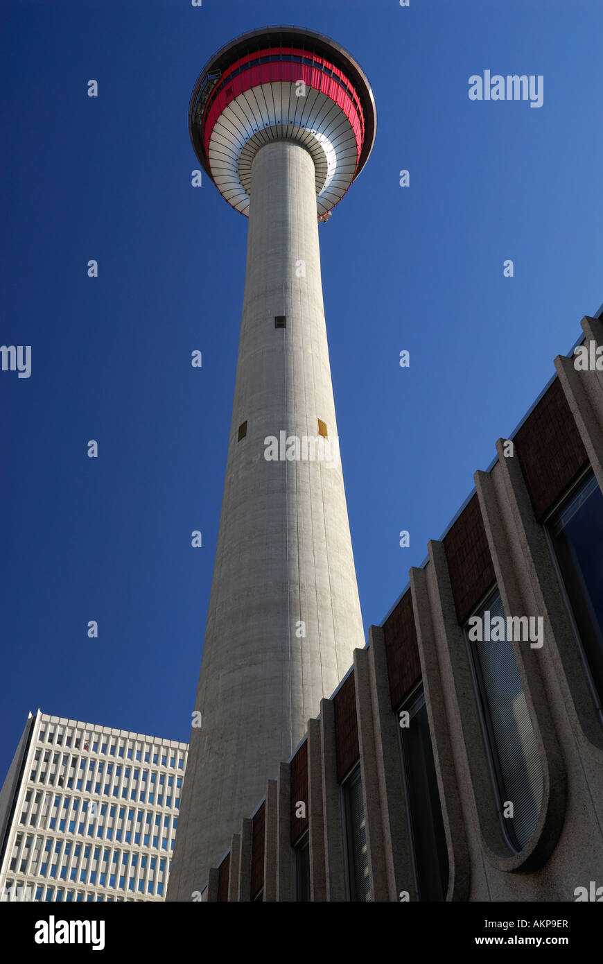 Die Innenstadt von Calgary Gebäude und Calagary Turm mit blauem Himmel Stockfoto