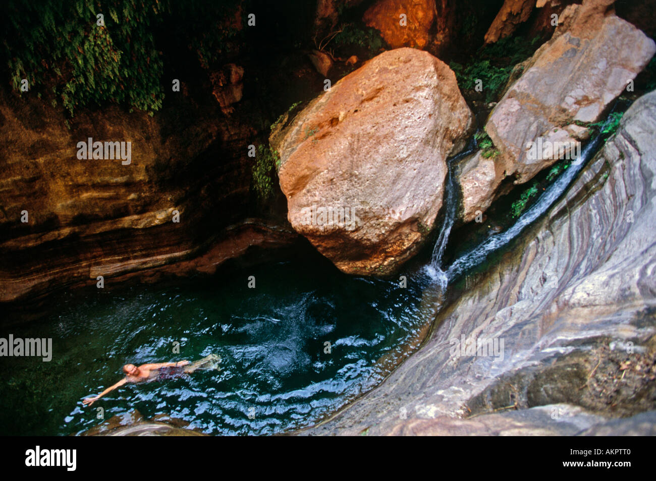 Dave Wolf in Elfen Schlucht, Grand Canyon, Arizona Stockfoto