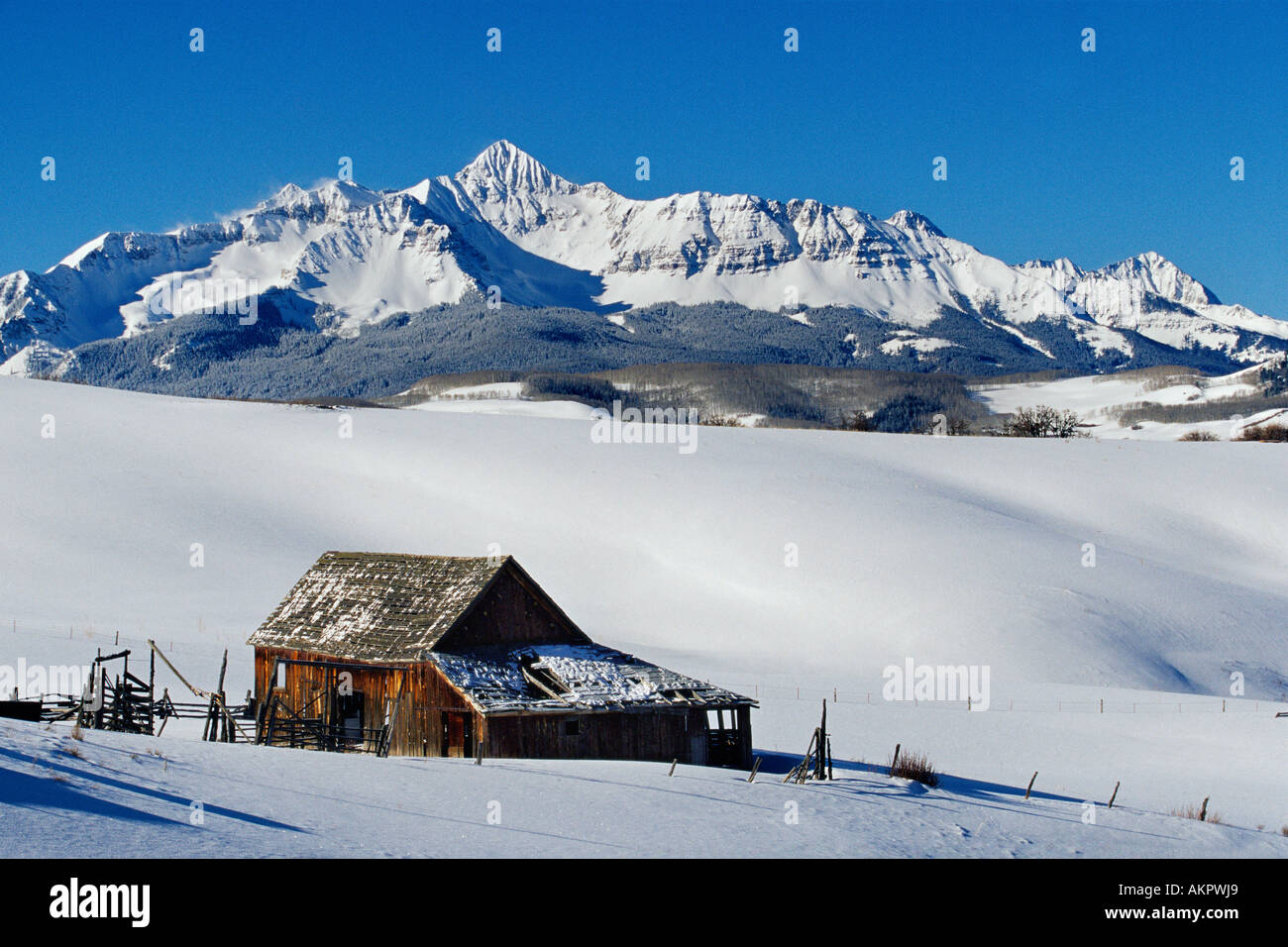 alte Scheune und Wilson Peak Telluride, Colorado Stockfoto