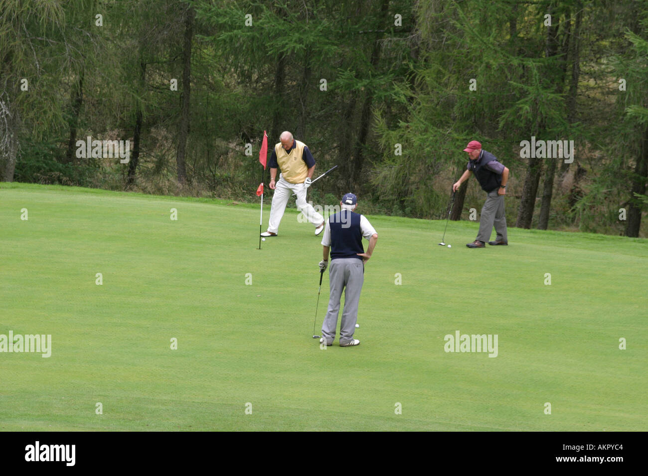 Golfer auf einem bewaldeten Kurs setzen auf einer grünen Stockfoto