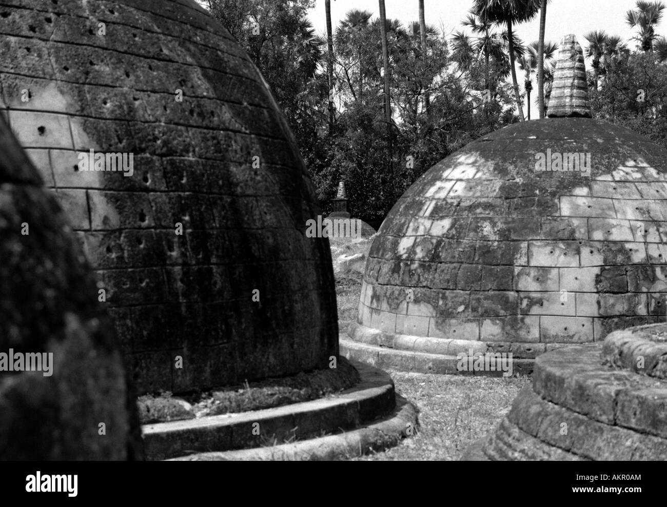 Die Stupas von Kantharodai im Norden von Jaffna, Sri Lanka Stockfoto