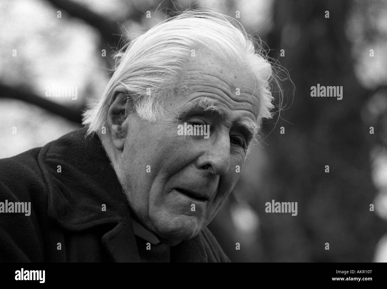 Herrn Soper aus der West London Methodist Mission Predigt bei Speakers Corner im Hyde Park, London. Stockfoto