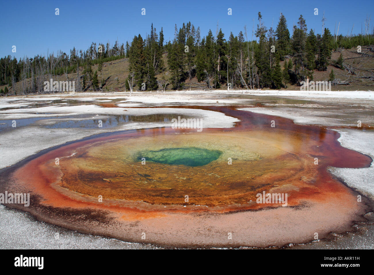Chromatischer Pool, Upper Geyser Basin in der Nähe von Old Faithful, Yellowstone-Nationalpark Stockfoto