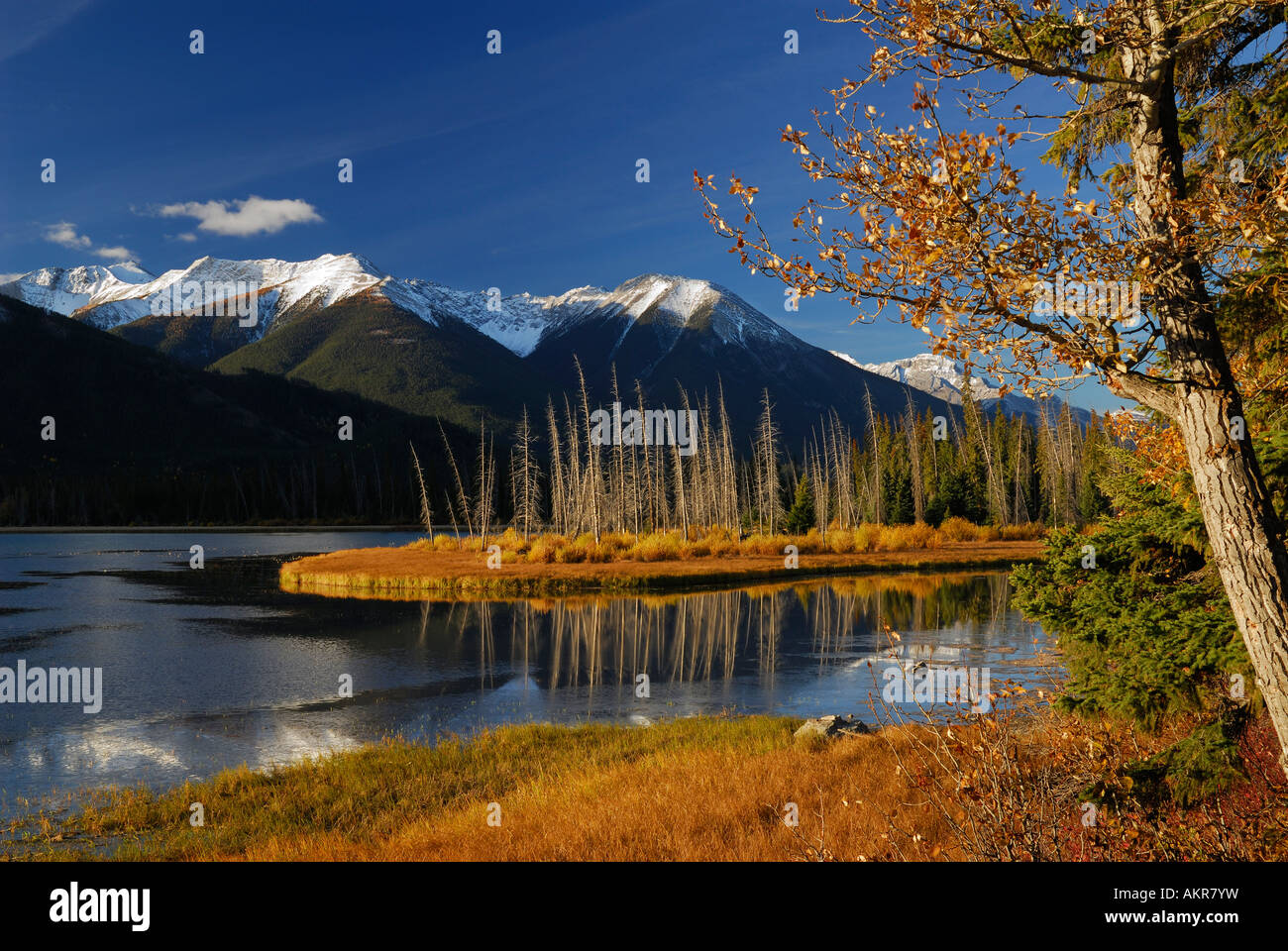 Golden Glow bei Sonnenaufgang am ersten Vermilion See im Herbst Schwefel Mountain Sanson Peak kanadischen Rocky Mountains Banff Nationalpark Alberta Kanada Stockfoto