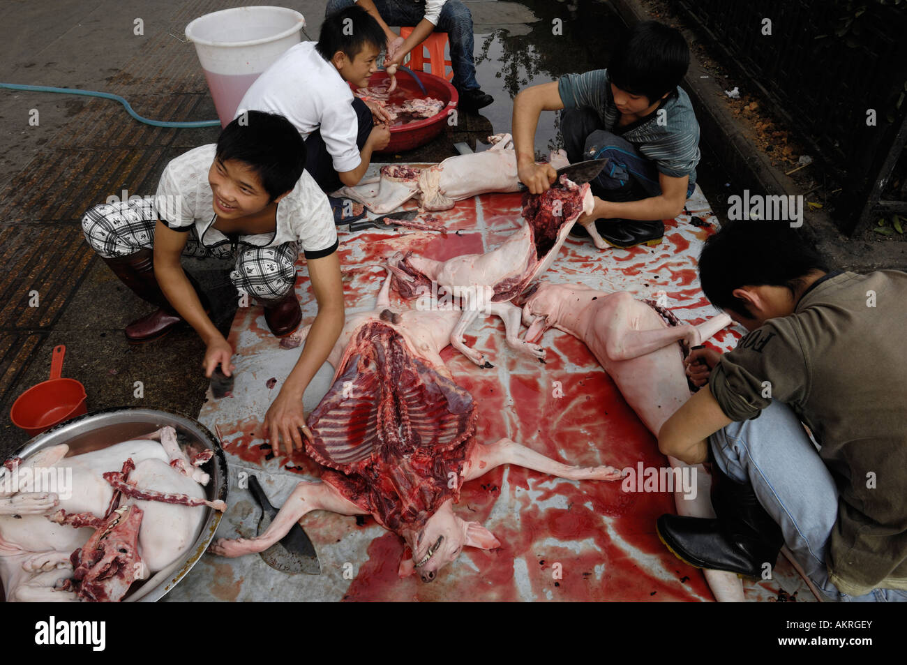 Personal im Restaurant Schlachtung Hunde auf der Straße in Wuhan, Hubei China 20. Oktober 2007 Stockfoto