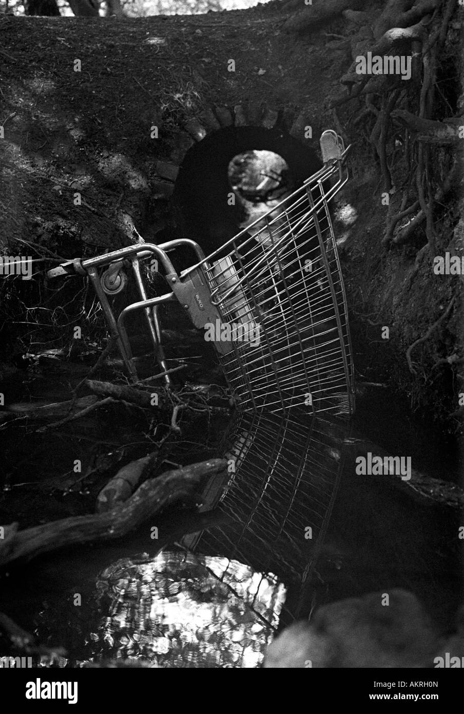 Einkaufswagen in einem kleinen Fluss geworfen. Stockfoto