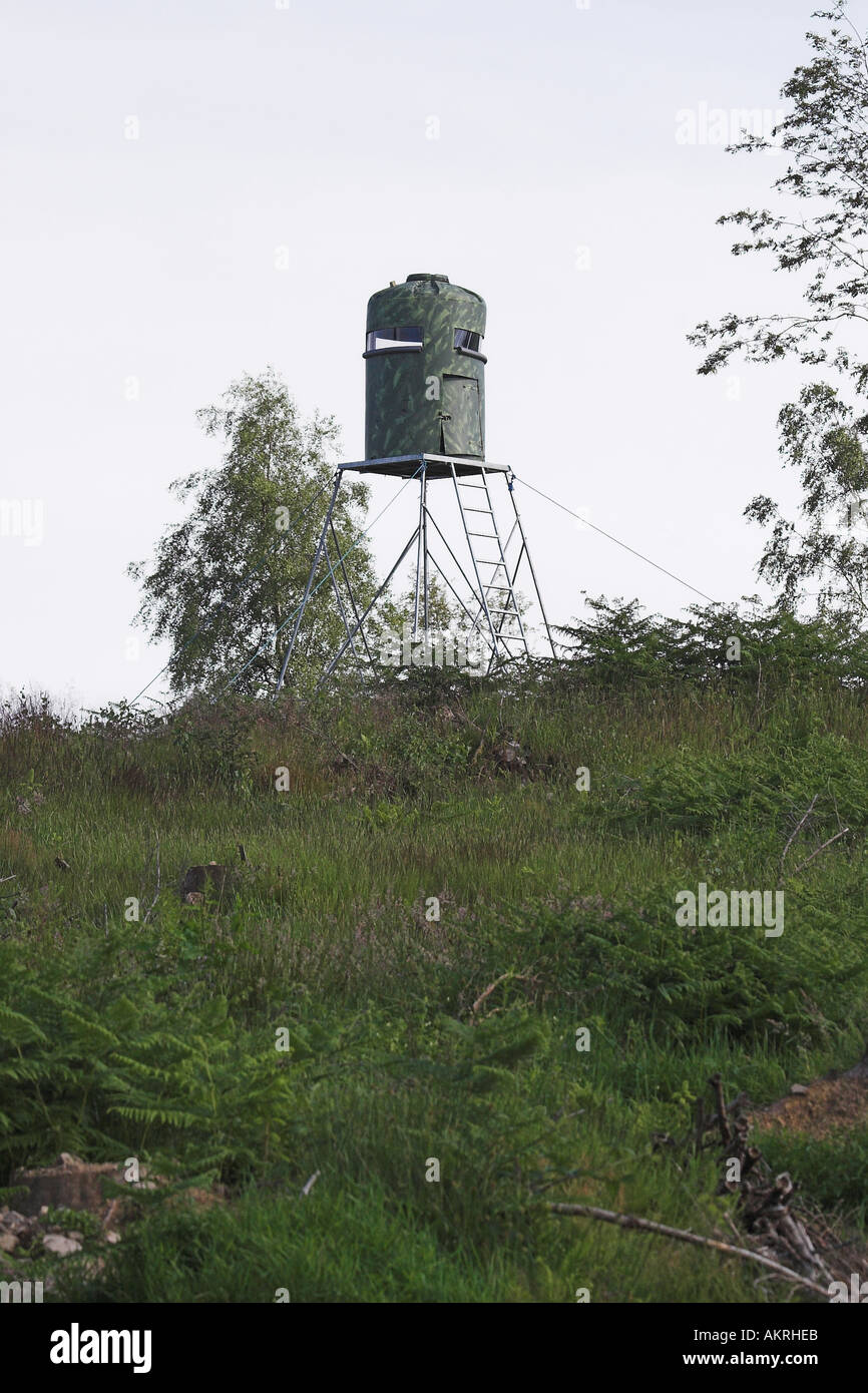 ein verstecken in der Luft über ein Feld zur Vogelbeobachtung und schießen Stockfoto