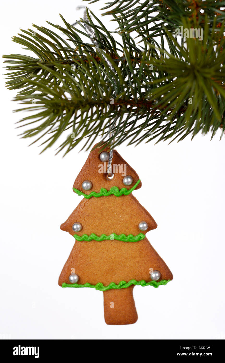 Lebkuchen in Form eines Weihnachtsbaum Weihnachtsbaum Zweig hängend Stockfoto