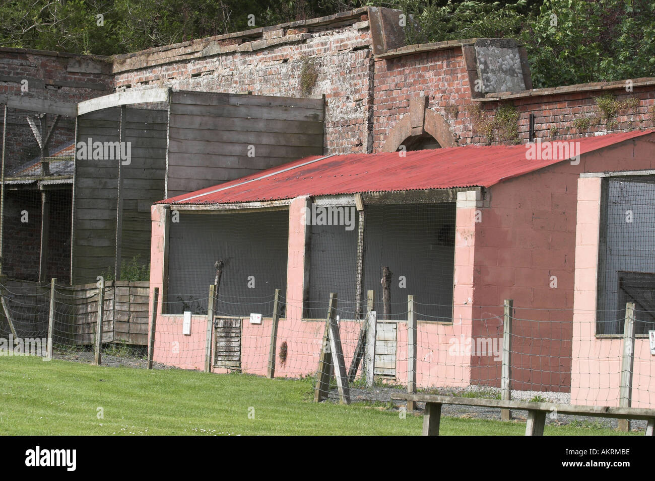 tierische Heiligtum Greifvögel sind in Käfigen zu beschützen in einem Raubvogel-Zentrum in Penrith, Cumbria gehalten. Stockfoto