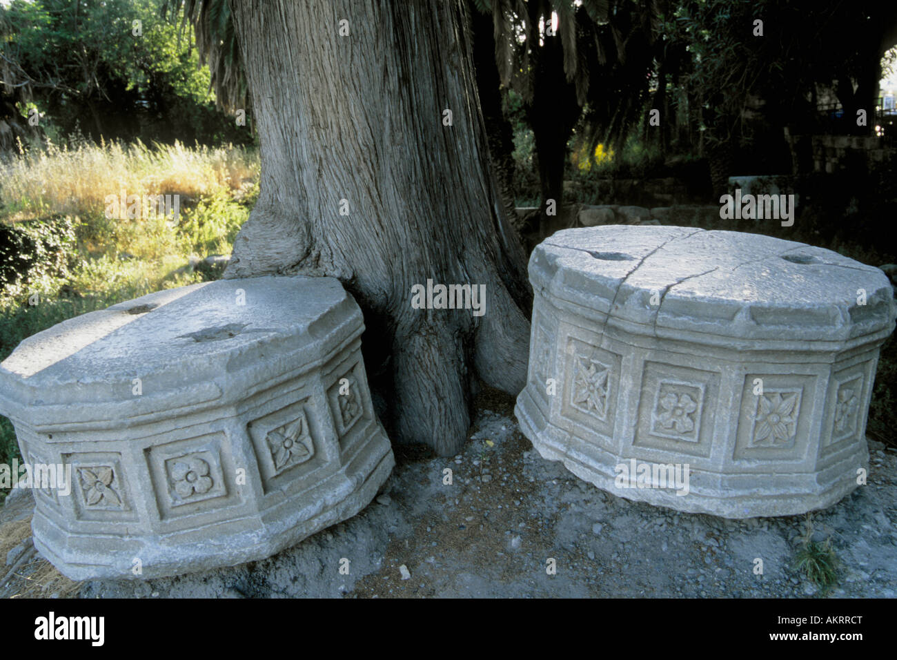 Griechenland Dodekanes Kos Ancient Agora Steinen geschnitzt Stockfoto
