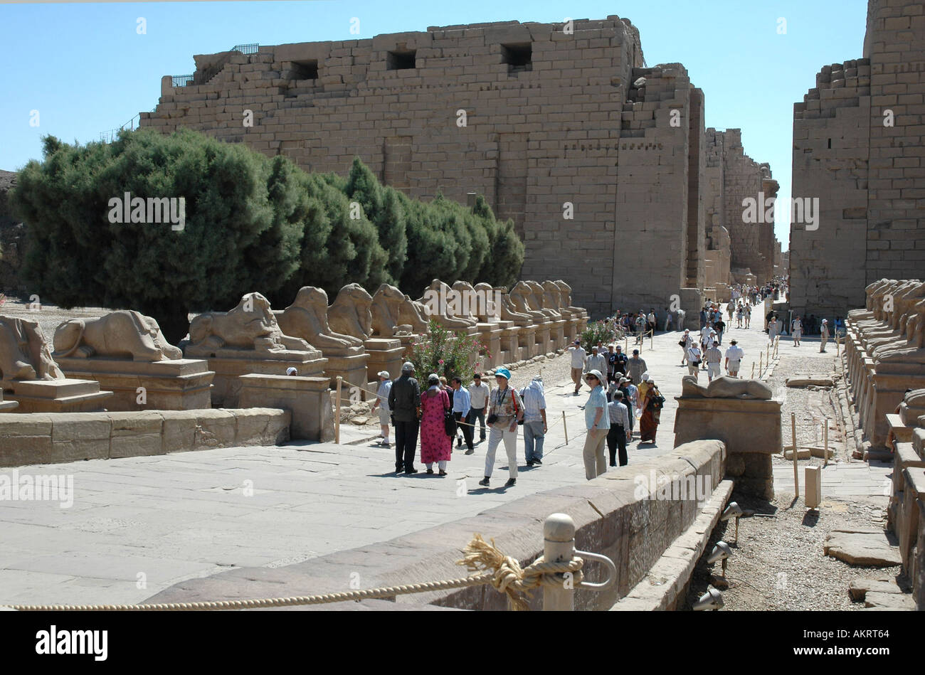 Avenue of Ram leitete Sphinxen und der erste Pylon Karnak Tempel Ägyptens Stockfoto