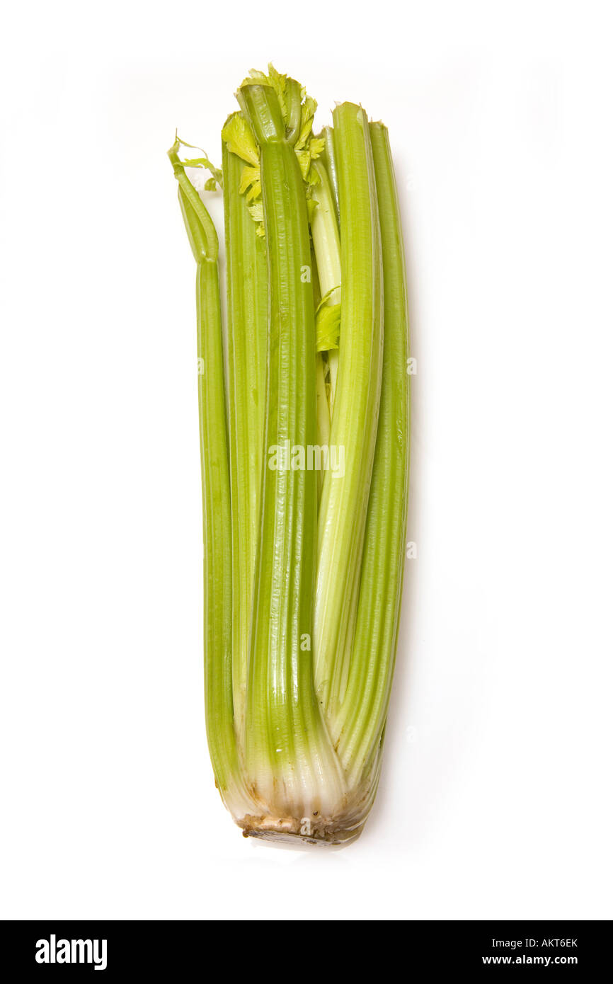Haufen von Sellerie isoliert auf einem weißen Studio-Hintergrund. Stockfoto
