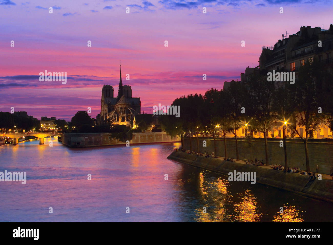 seine Fluss und Kathedrale Notre-Dame in der Nacht Paris Frankreich Stockfoto