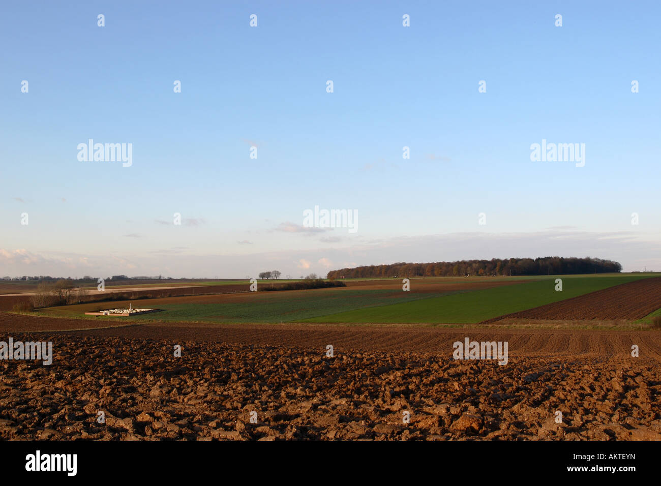 Eine Ansicht des hohen Holzes auf dem Schlachtfeld der Somme in Nordfrankreich Stockfoto