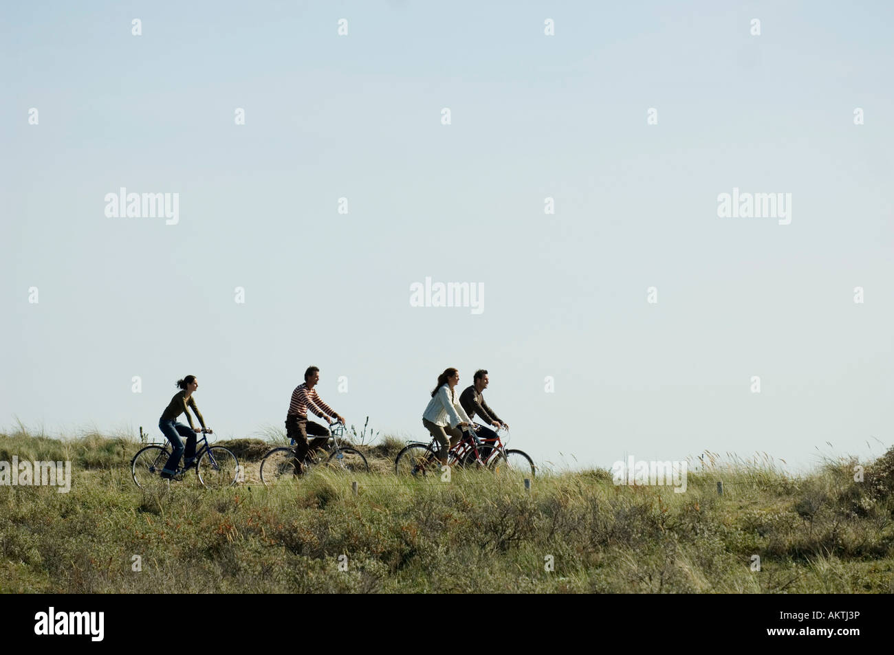 Gruppe von Freunden, die Radtouren durch Dünen, Seitenansicht Stockfoto