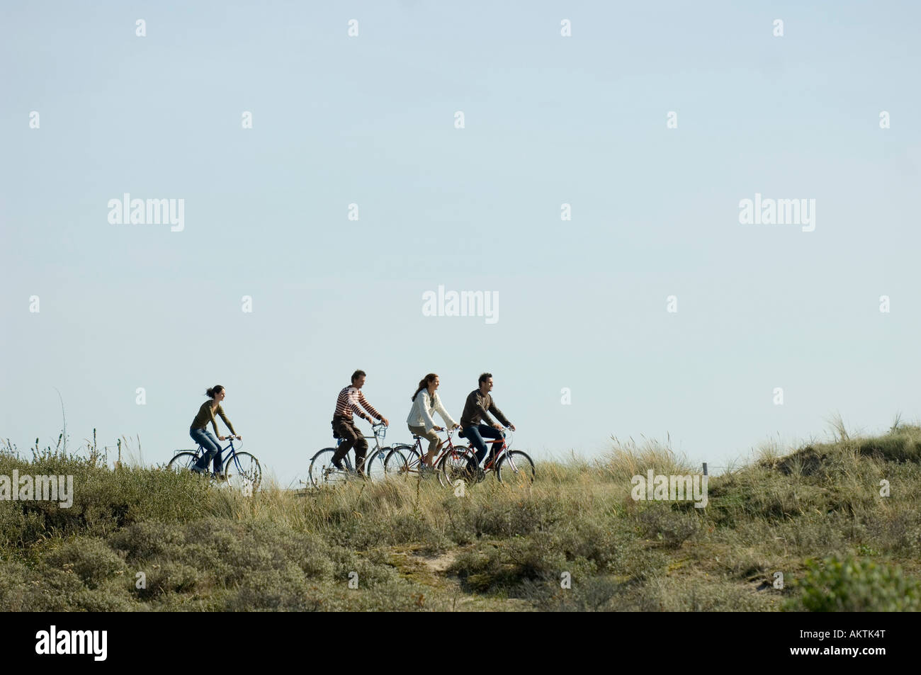Gruppe von Freunden, die Radtouren durch Dünen, Seitenansicht Stockfoto