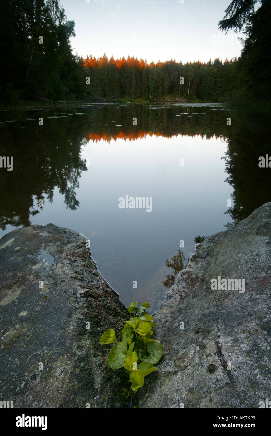Ein Teil der Mosseelva Fluss in den See Vansjø, Moos Kommune, Norwegen. Vansjø ist ein Teil des Wassers, das System namens Morsavassdraget. Stockfoto