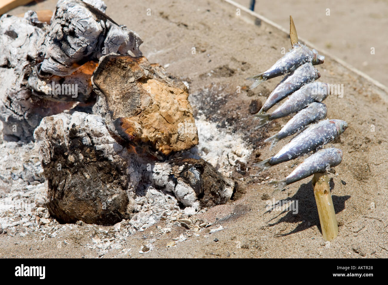 Sardinen, Kochen auf offenem Feuer in einem Restaurant am Strand, Fuengirola, Costa Del Sol, Andalusien, Spanien Stockfoto