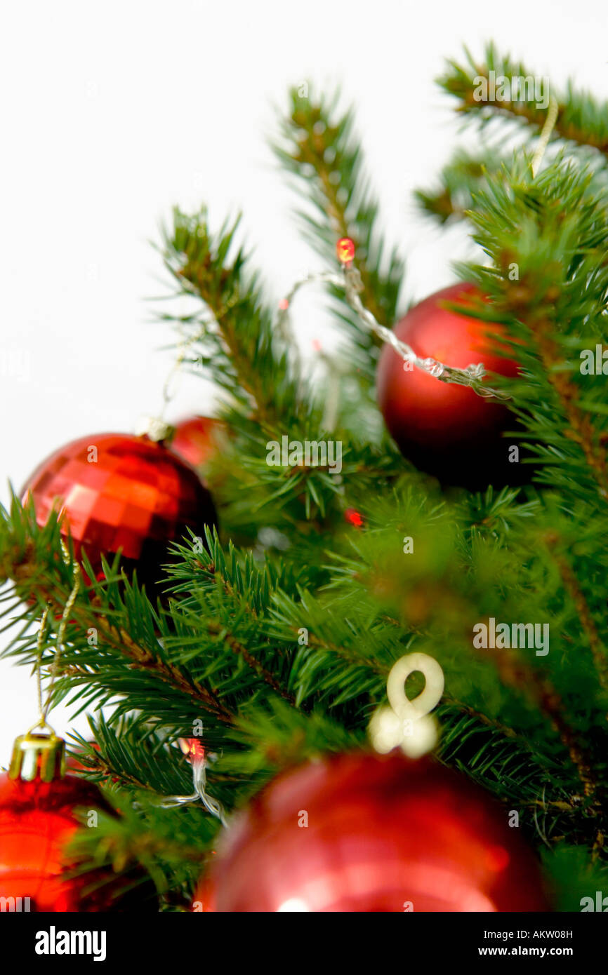 Chirstmas Baum mit roten Kugeln erschossen vor einem weißen Hintergrund Stockfoto
