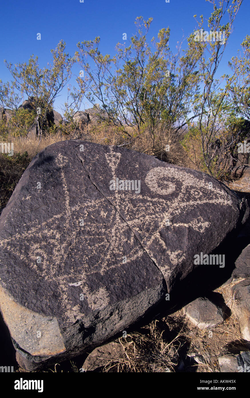 USA, New Mexiko, drei Flüsse Petroglyph Site außerhalb Albuquerque, Bighorn Schafe Figur mit Pfeilen. Jomada Mogollon Stil Stockfoto