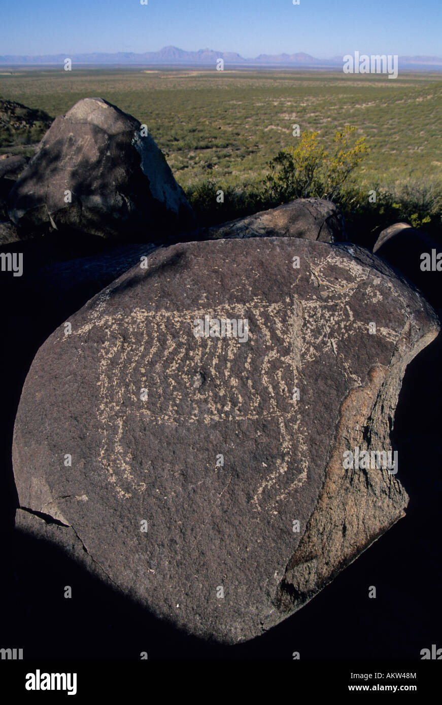 USA, New Mexiko, Three Rivers Petroglyph Site außerhalb Albuquerque, Abbildung Dickhornschafe. Jomada Mogollon Stil Stockfoto