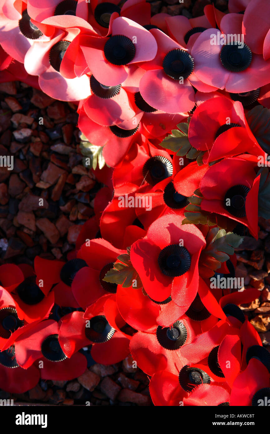 Mohnblumen am Kreuz von Lochnagar Grube Krater auf dem Schlachtfeld der Somme in Nordfrankreich Stockfoto