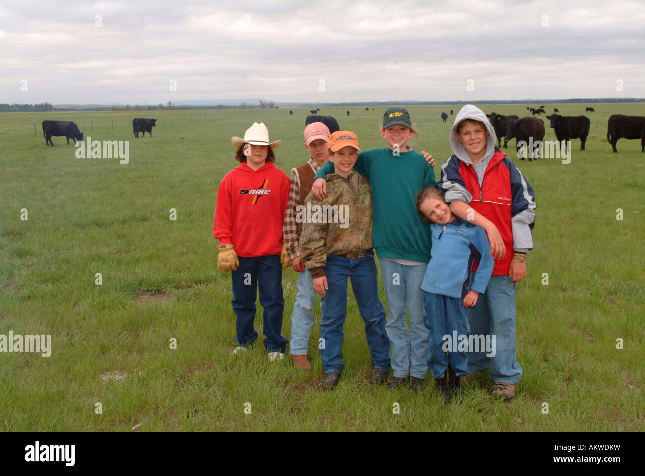 Kinder und Vieh auf Anmeldung Camp Ranch North Dakota Stockfoto