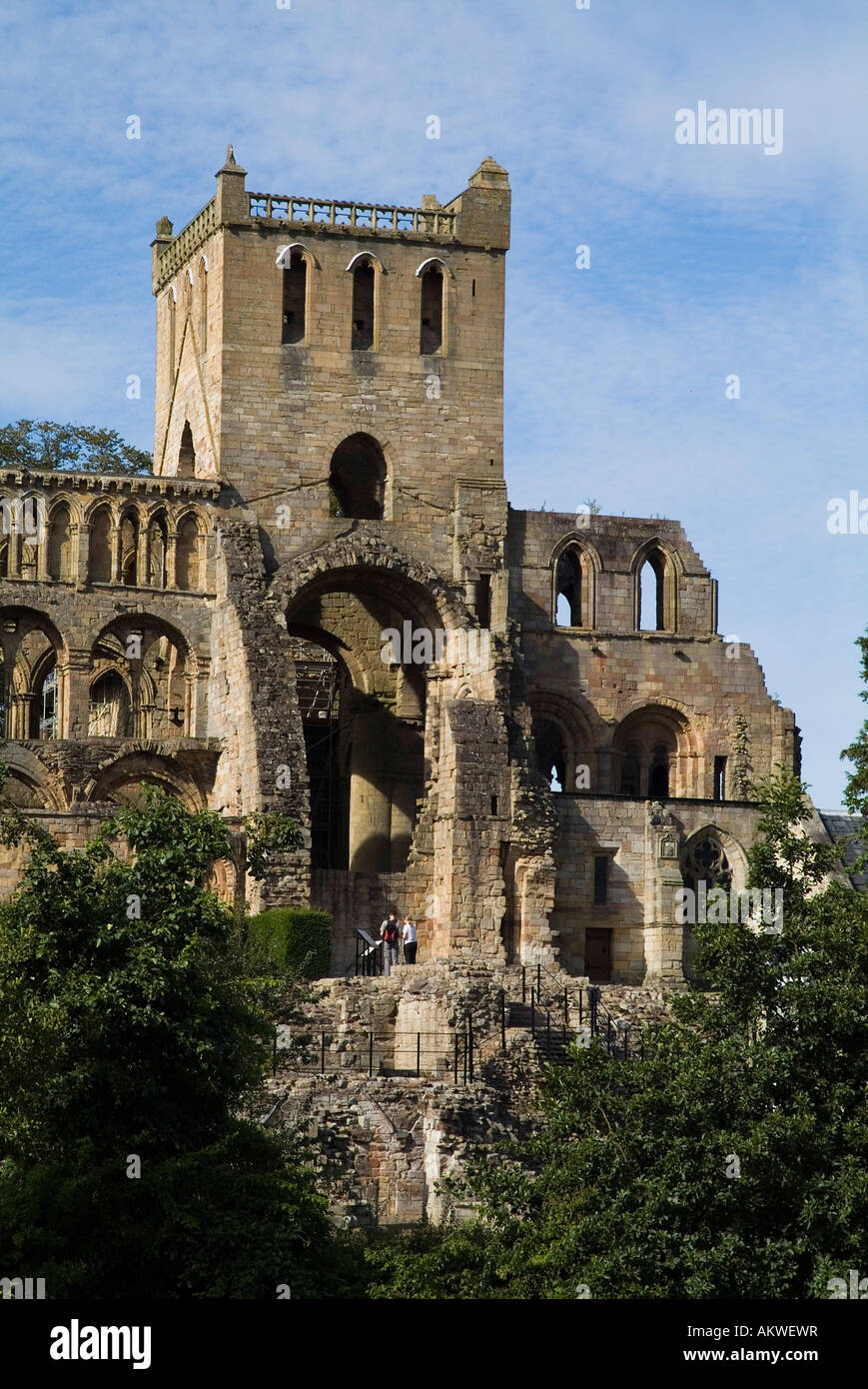 dh Jedburgh Abbey JEDBURGH GRENZT AN Augustiner-Abtei Ruinen schottische Kirche Ruinieren sie schottland Stockfoto