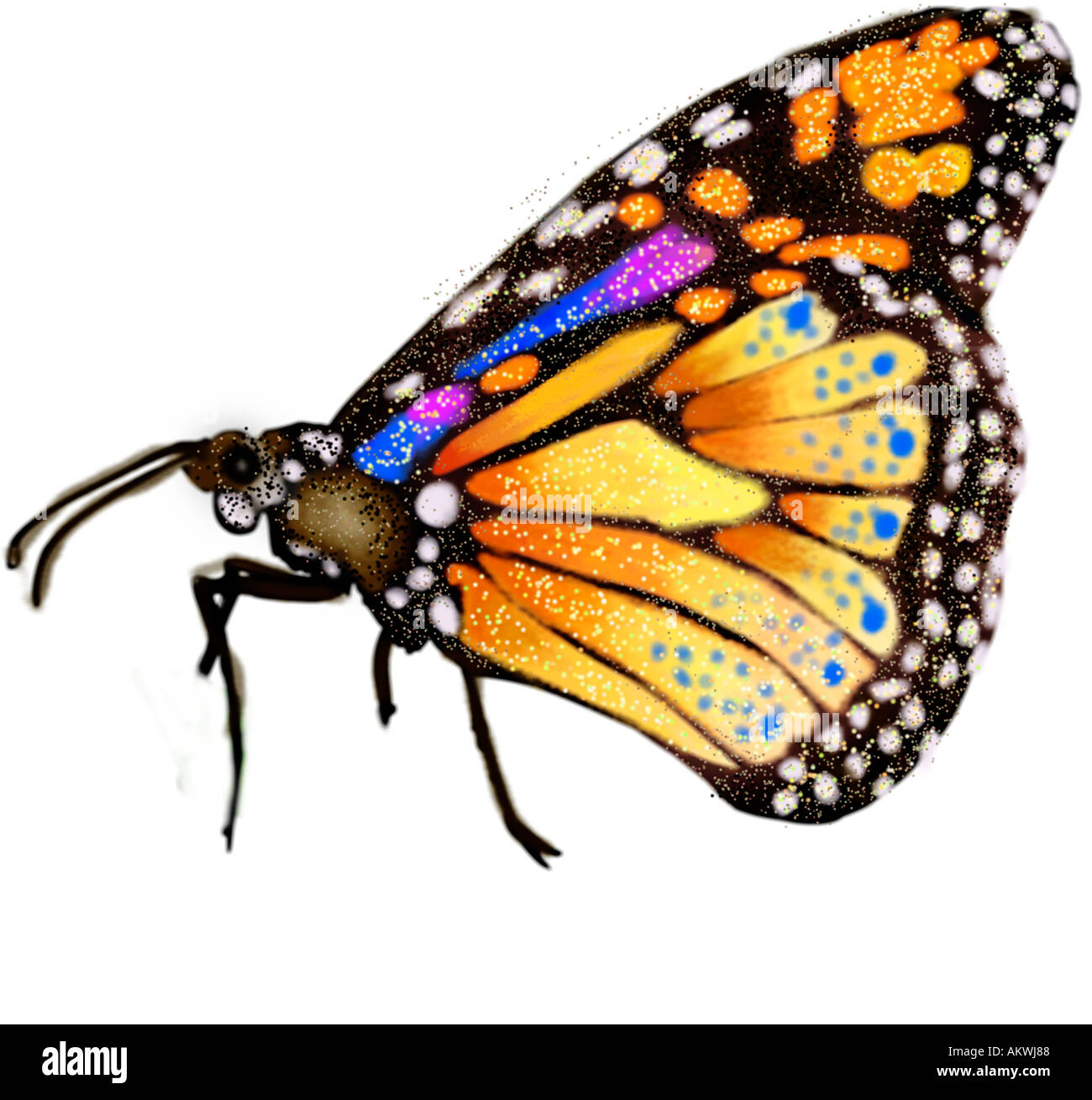 Schmetterling künstlerische Abbildung Monarch vor weißem Hintergrund Ausschnitt Stockfoto
