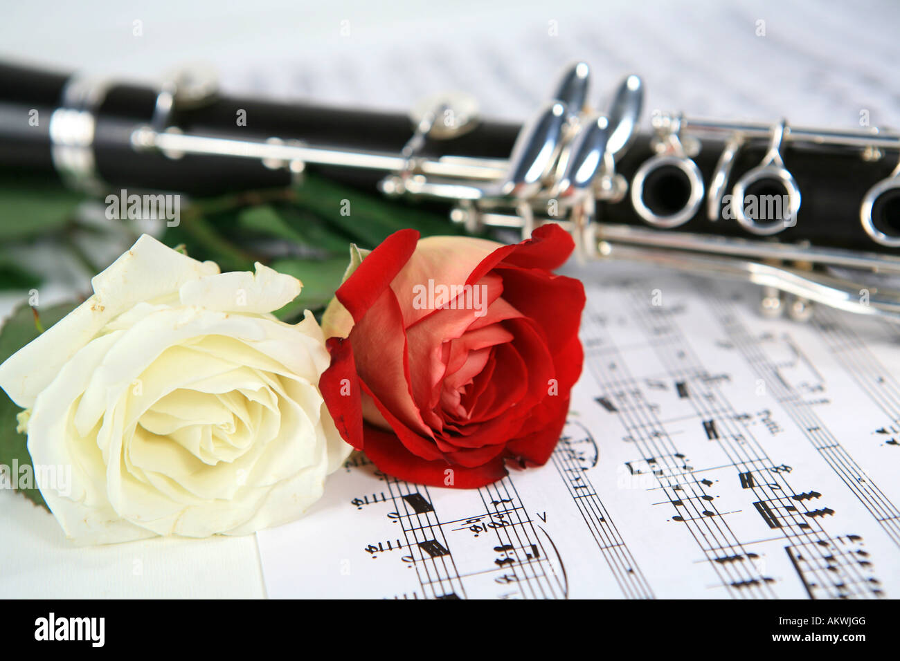Eine rote und eine weiße Rose mit Klarinette zu den Noten Stockfotografie -  Alamy