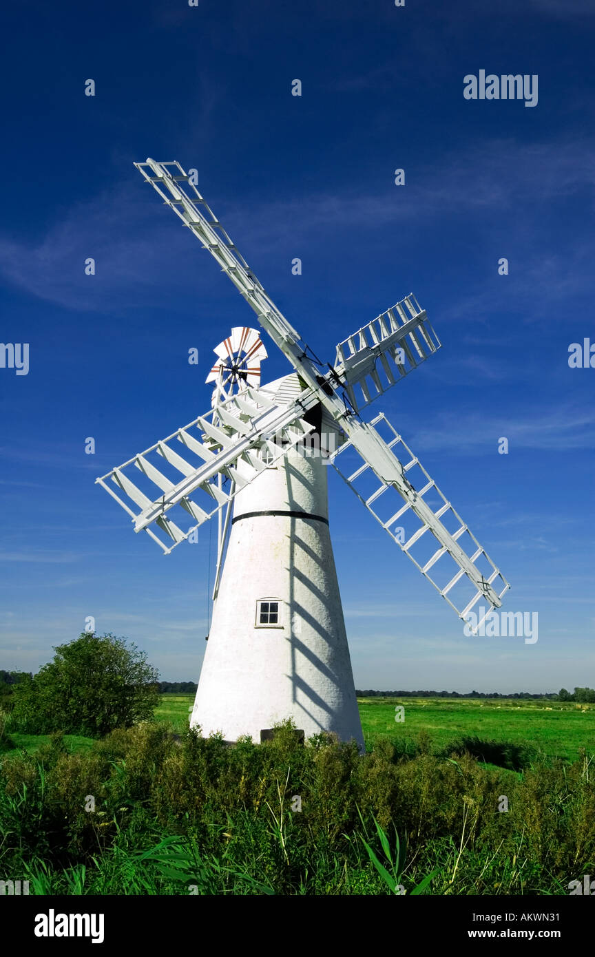 Thurle Windpumpe Windmühle Norfolk Venn England uk Stockfoto