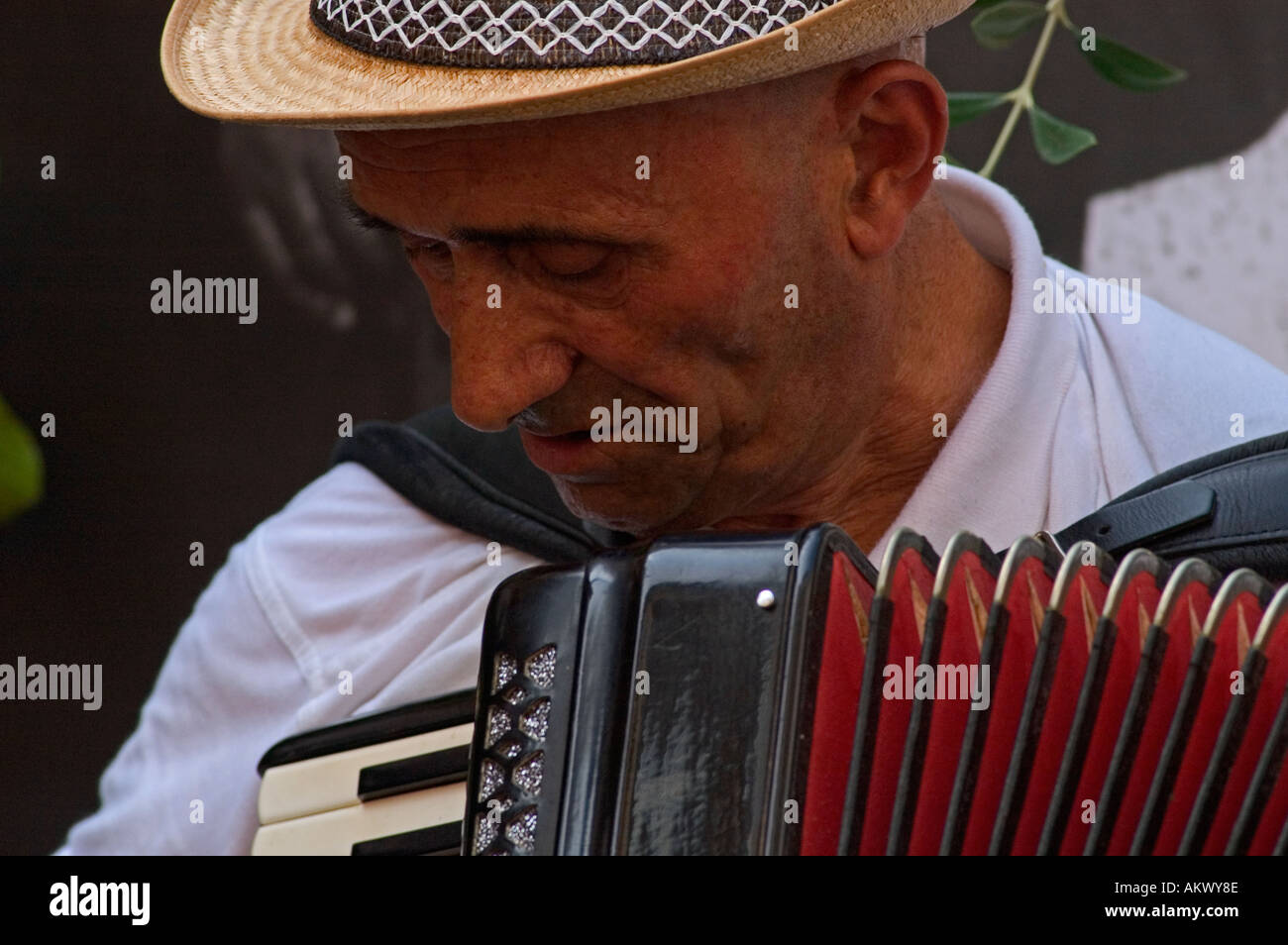 Akkordeon Musiker in einem Musik-Festival in Frankreich Stockfoto
