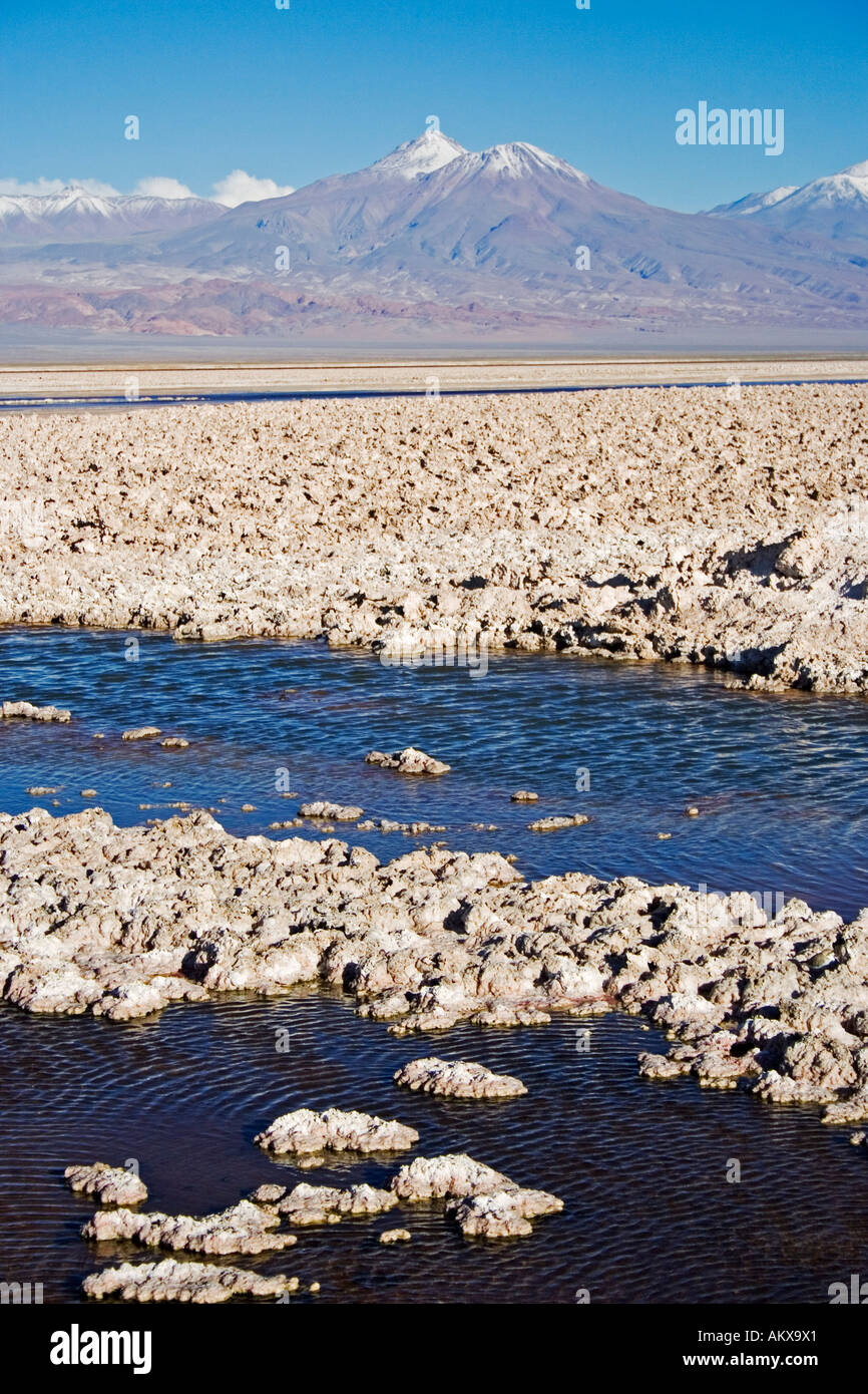 Salt Lake Salar de Atacama, Atacama-Wüste, Nord-Chile, Südamerika Stockfoto