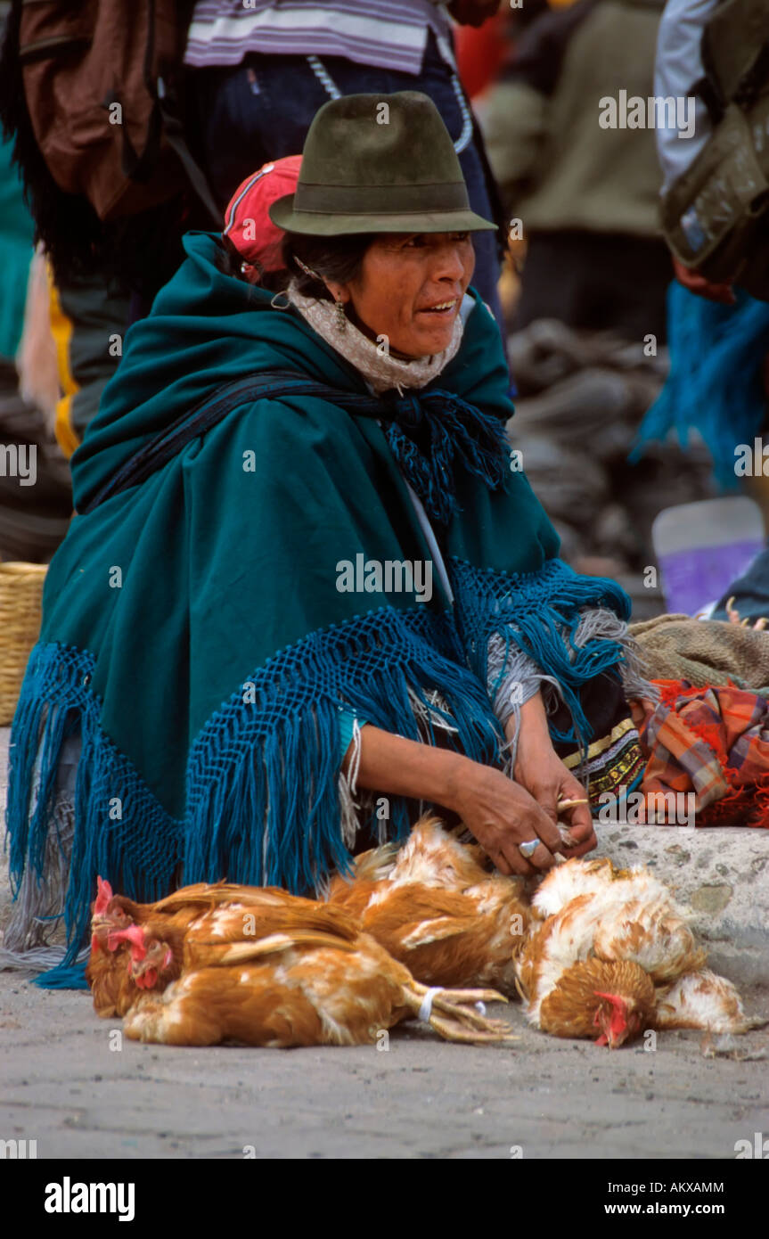 Indigena mit kleinen Kindern auf ihr zurück und kaufte Huhn, Zumbahua Markt, Ecuador, Südamerika Stockfoto