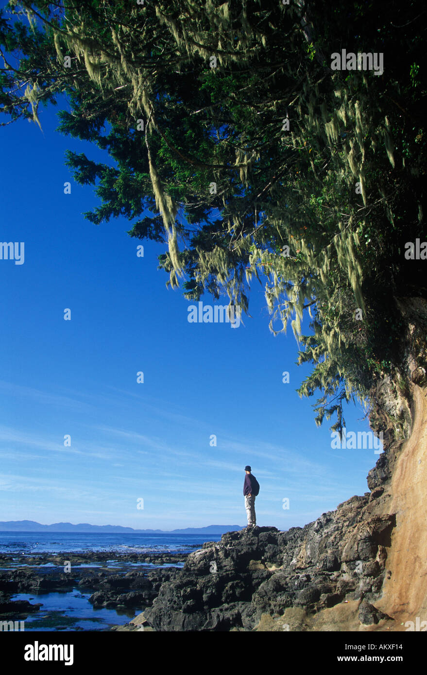 Mann unter Küsten Überhang Pacific Rim National Park Stockfoto