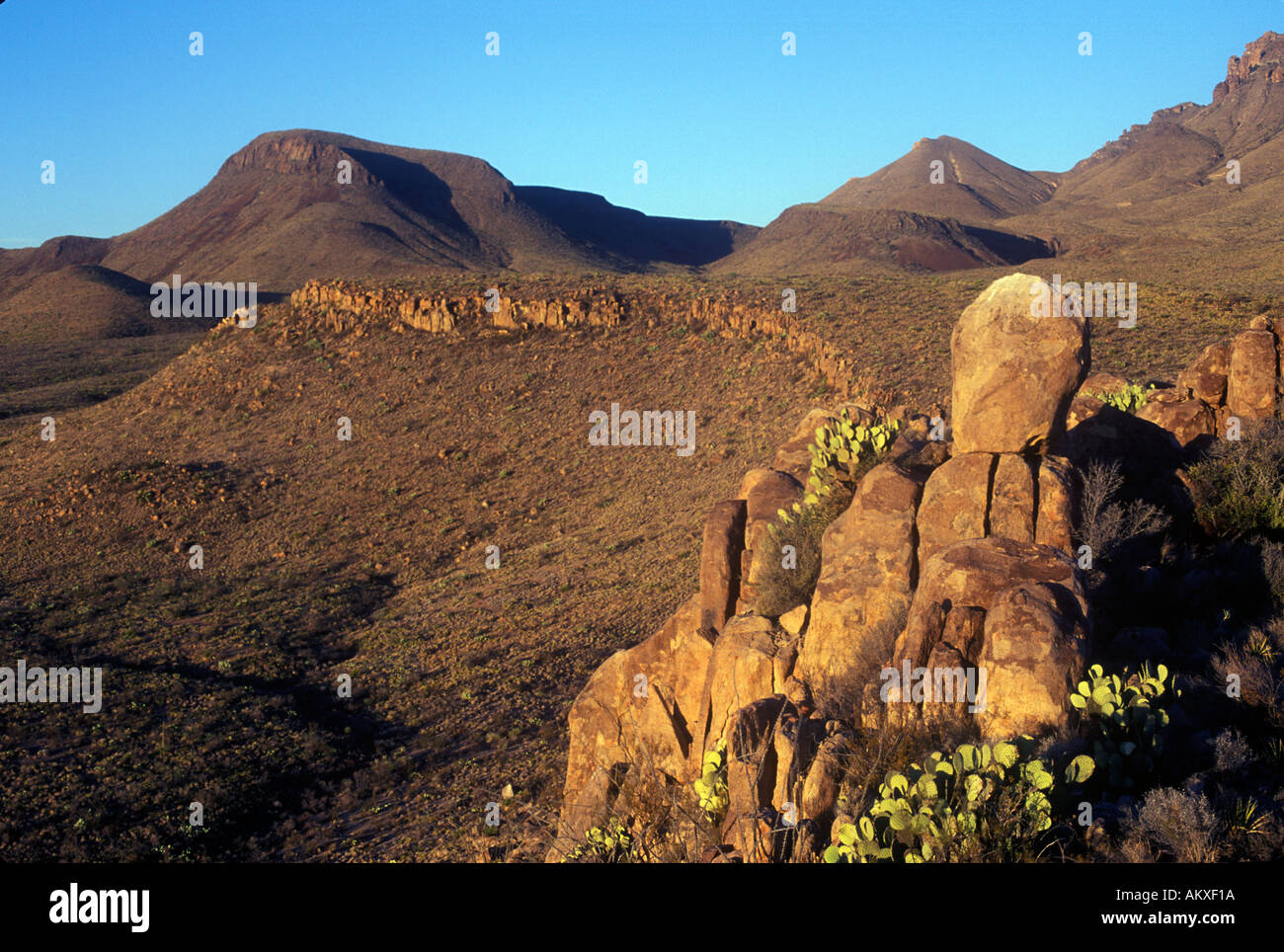 Felsformation in den Ausläufern der Chisos Mountains Big Bend National Park Stockfoto