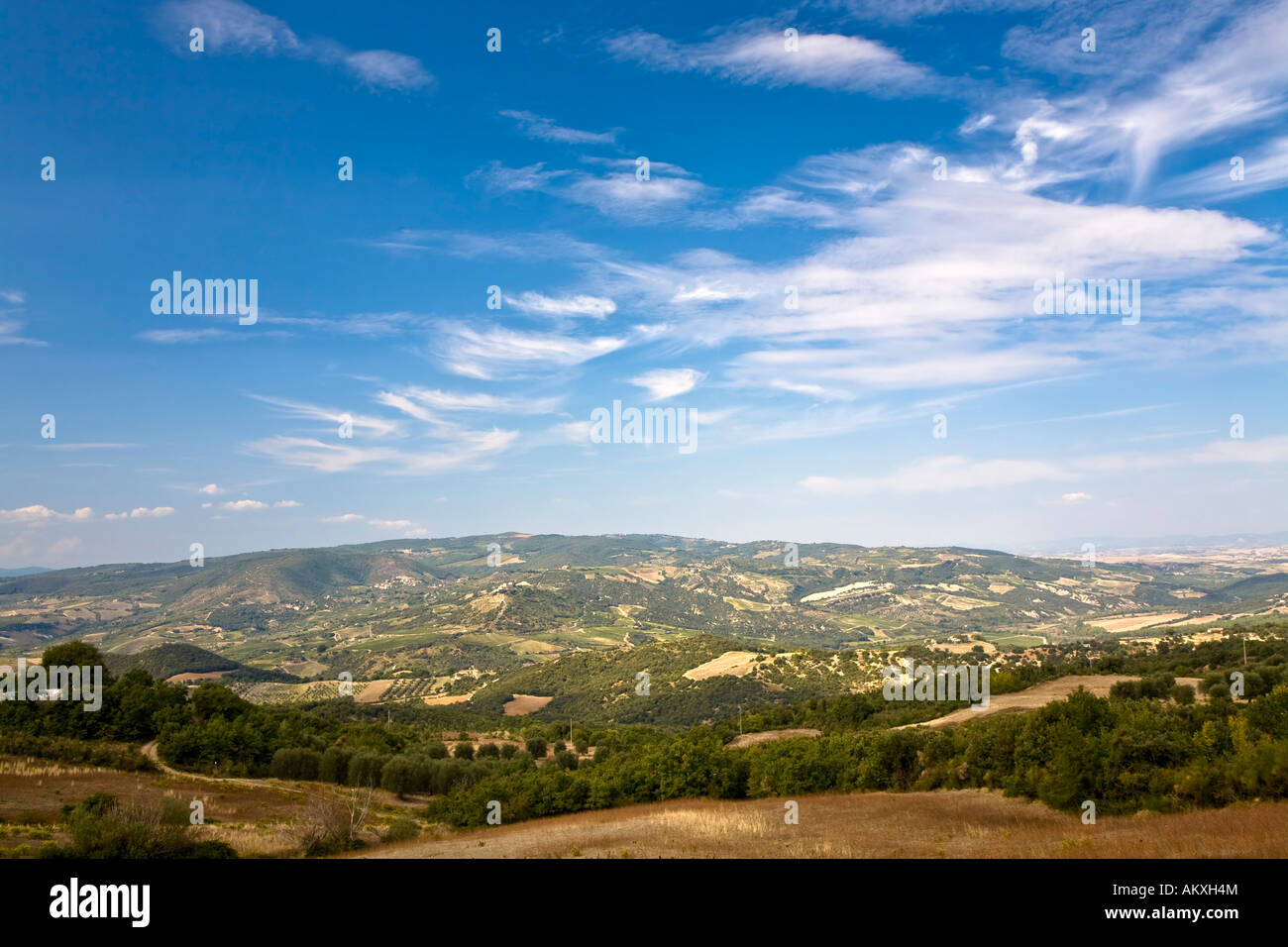 Landschaft mit Feldern Toskana Italien Stockfoto